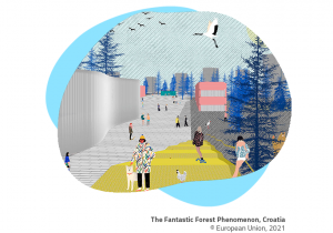 The-Fantastic-Forest-Phenomenon4-e1648550542389