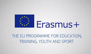 KA 2 – Partenariati di cooperazione nei settori dell’istruzione, della formazione e della gioventù promossi da ONG europee
